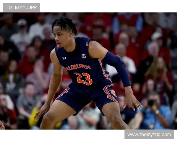 从新星到核心中锋：弗拉霍维奇的荣誉与责任